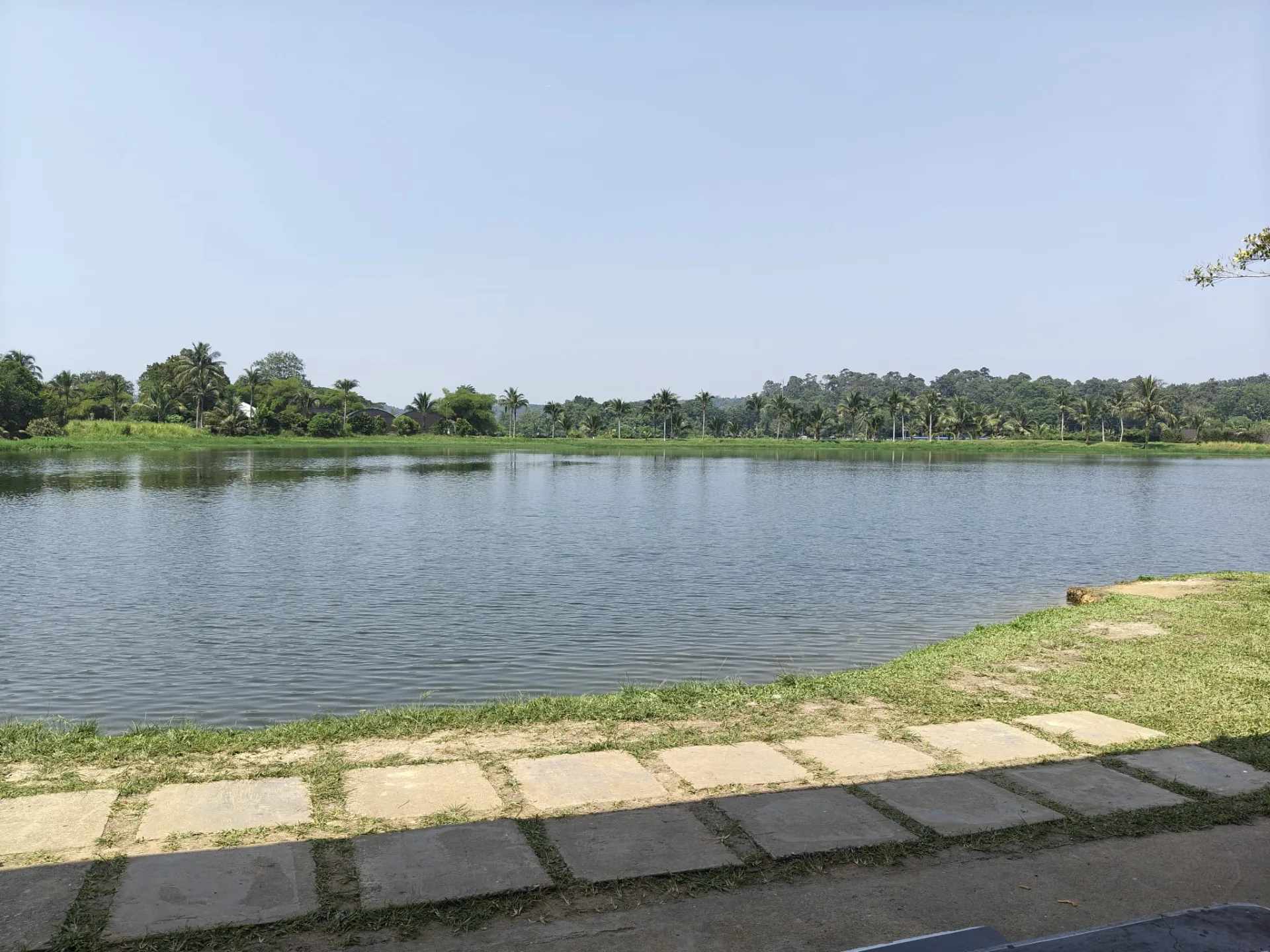 Spot 6